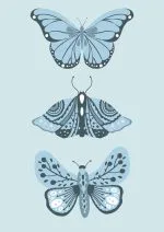 Mavi Kelebekler Üçlemesi