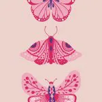 Pembe Mor Kelebekler