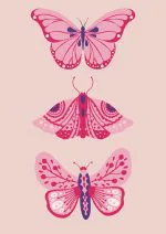 Pembe Mor Kelebekler