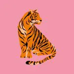 Pembe Zeminde Turuncu Kaplan