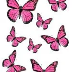 Pembe Monarch Kelebekler