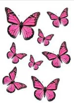 Pembe Monarch Kelebekler