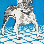 Mavi Zeminde Bulldog