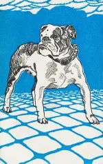 Mavi Zeminde Bulldog