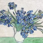 Vazoda Mavi Süsenler