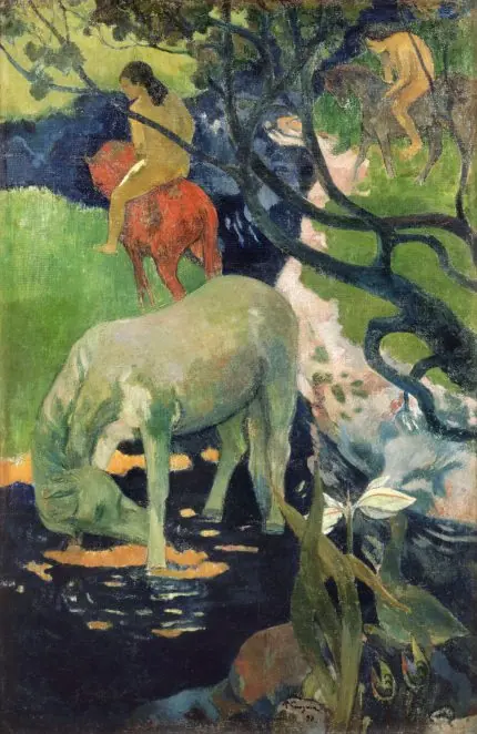 Beyaz At Gauguin