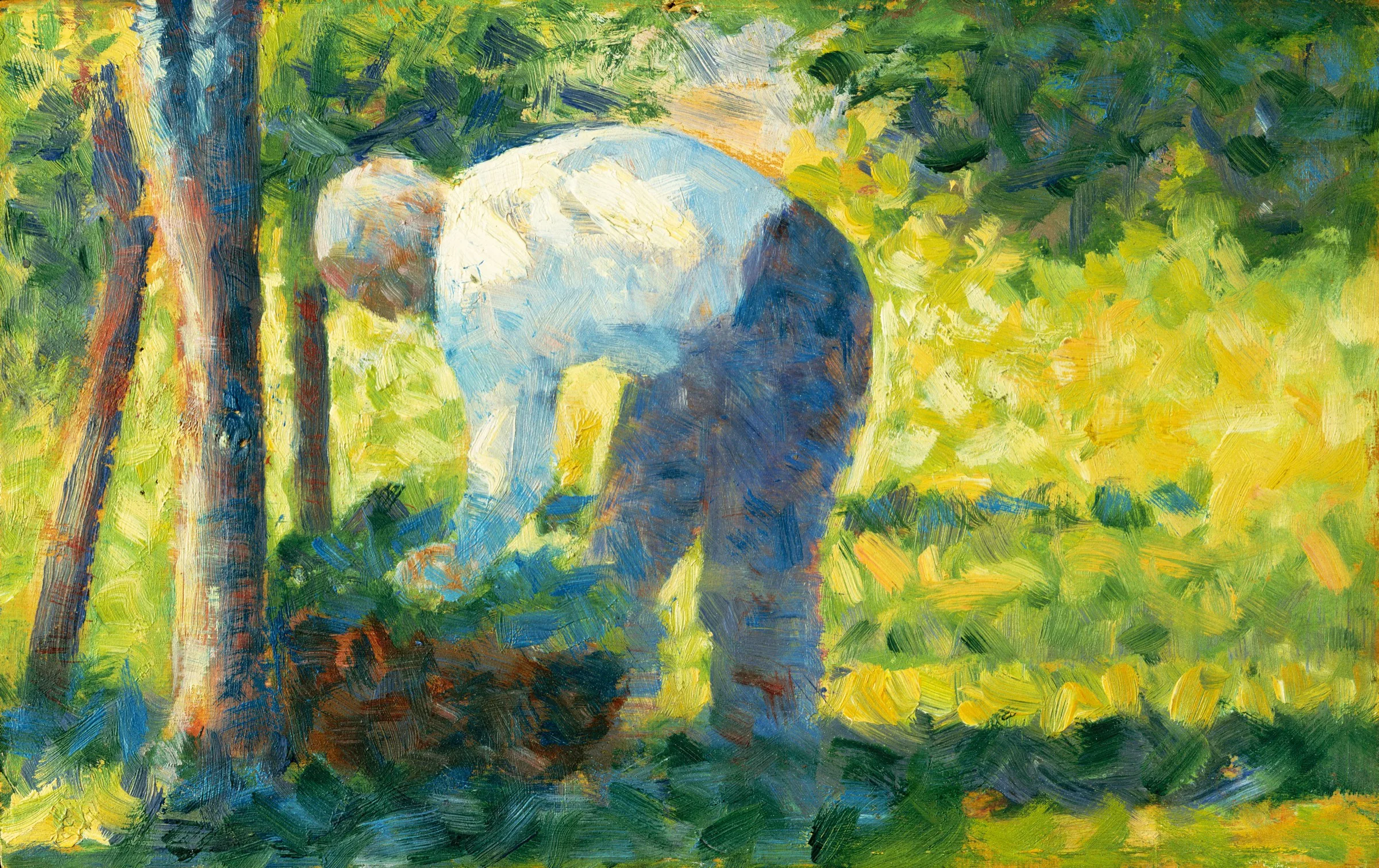 Bahçıvan Seurat Bahçıvan Seurat