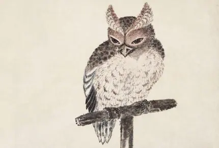 Baykuş Ukiyo-e