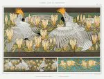 Kakadu ve Manolya Süsleme Levhası