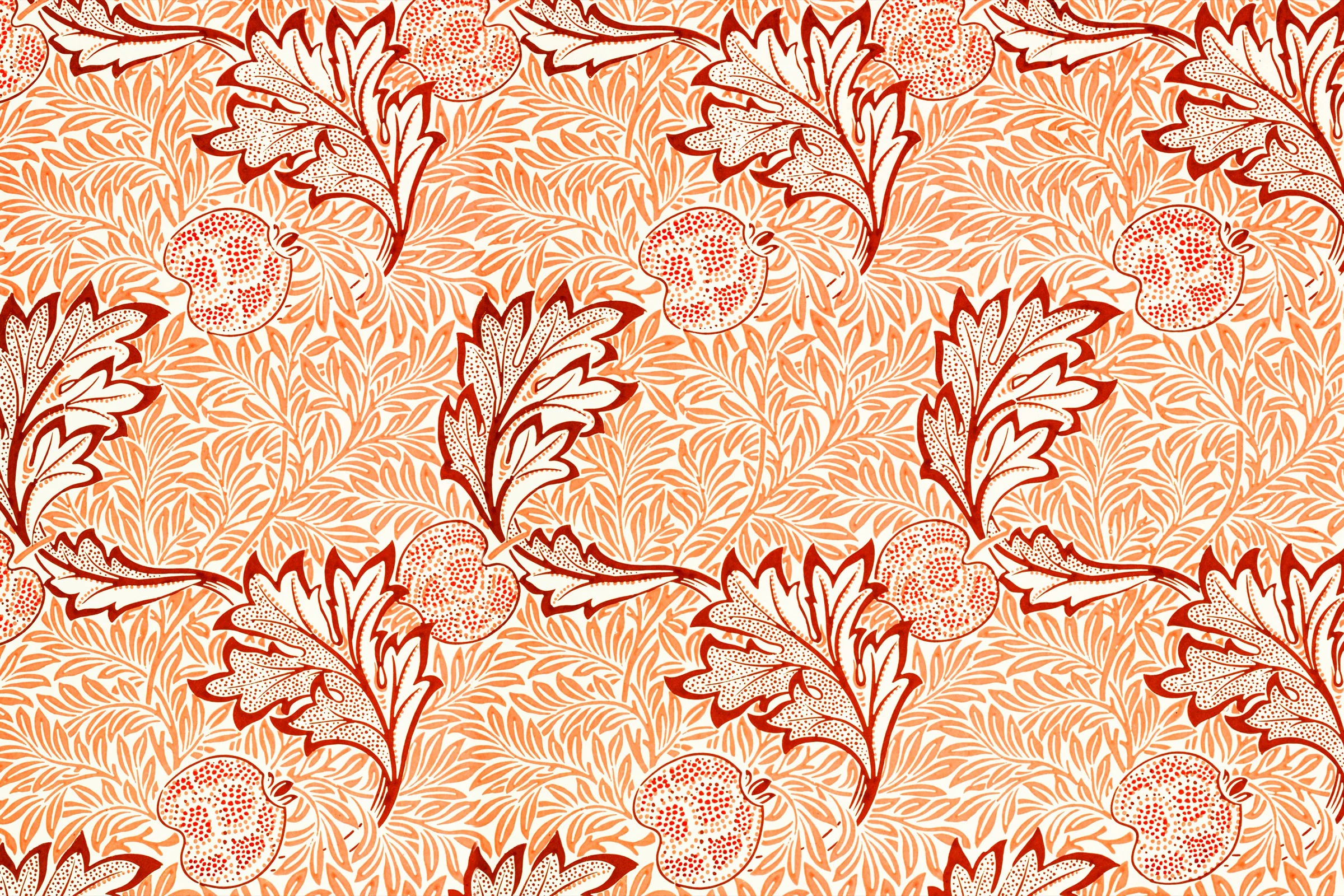 Morris Elma Deseni Morris Elma Deseni