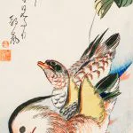 Mandarin Ördekleri