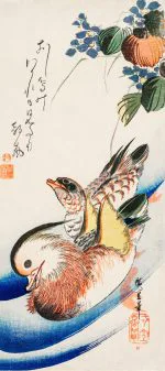 Mandarin Ördekleri
