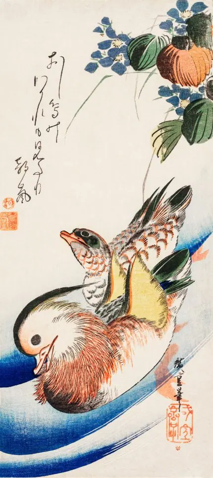 Mandarin Ördekleri
