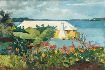 Bermuda Çiçek Bahçesi