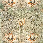 Morris Hanımeli Deseni