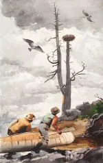 Kartal Yuvası