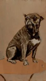 Masada Oturan Köpek