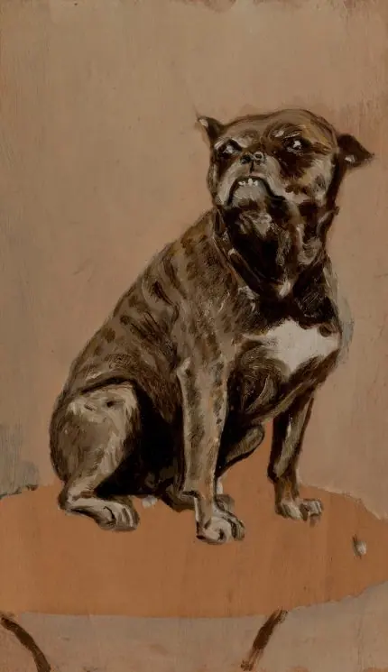 Masada Oturan Köpek