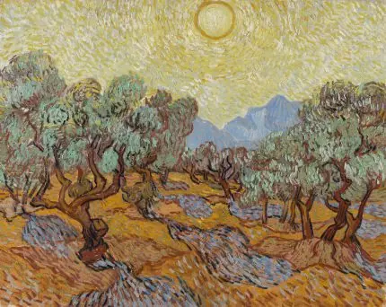 Zeytin Ağaçları Van Gogh