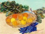 Portakal Limon ve Mavi Eldivenler