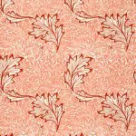 Morris Elma Deseni Mercan