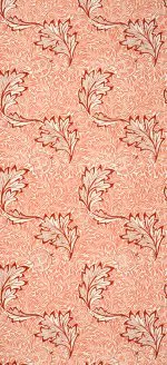 Morris Elma Deseni Mercan