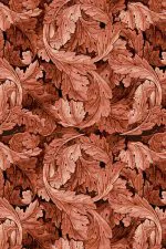 Morris Akantus Deseni Mercan