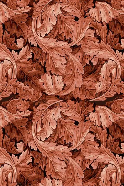 Morris Akantus Deseni Mercan