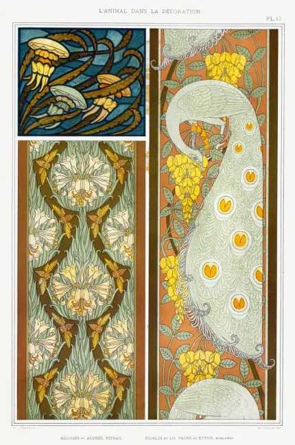 Denizanası ve Yosun Vitrayı