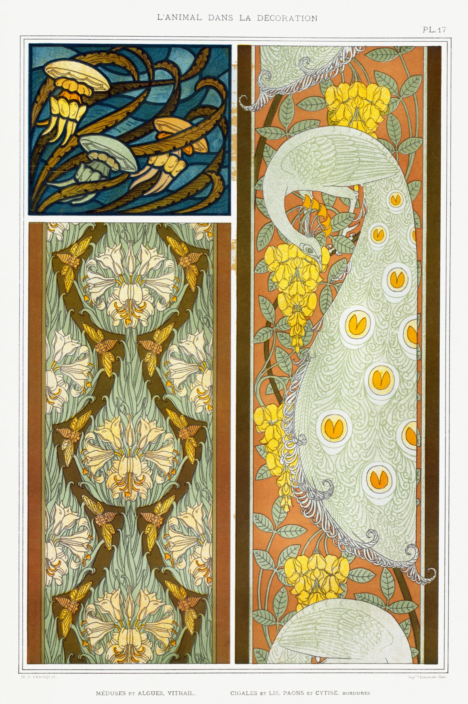 Denizanası ve Yosun Vitrayı Denizanası ve Yosun Vitrayı