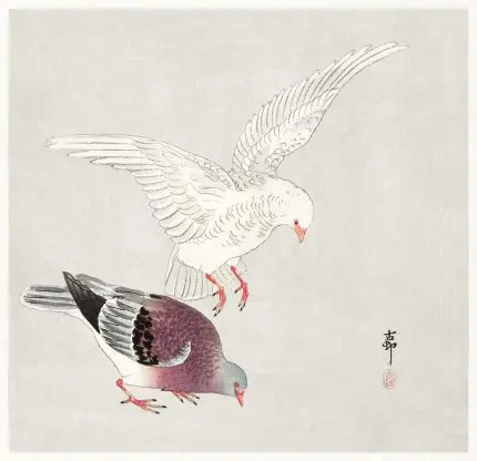 İki Güvercin Koson
