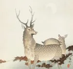 Geyik Çifti Koson