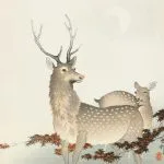 Geyik Çifti Koson