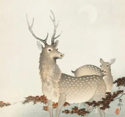 Geyik Çifti Koson