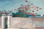 Nassau’da Beyaz Duvar