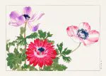 Anemon ve Gerbera Baskısı