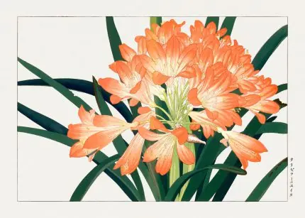 Clivia Ağaç Baskısı