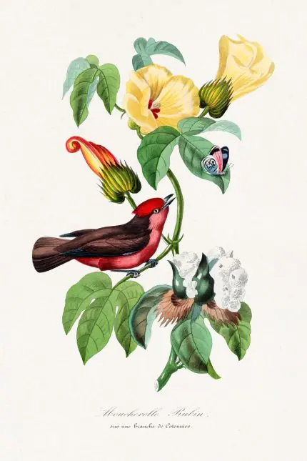 Paul Gervais