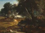 Fontainebleau Ormanı