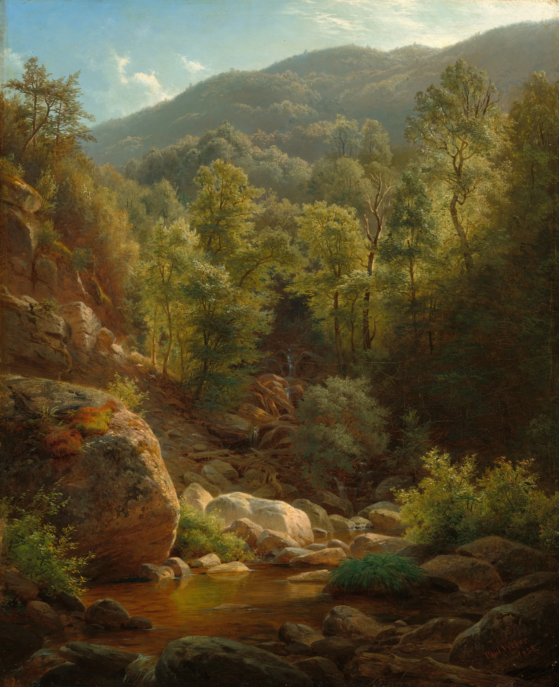Catskill Dere Yatağı Catskill Dere Yatağı