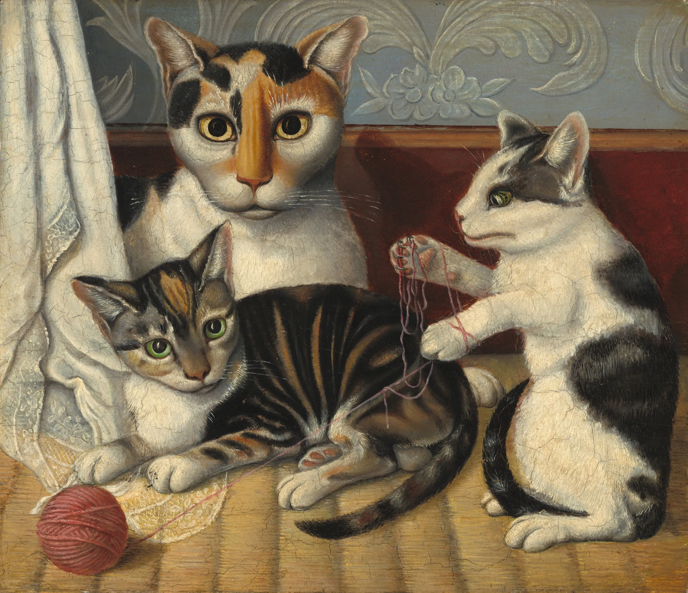Kedi ve Yavruları Kedi ve Yavruları