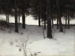 Karlı Orman