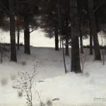 Karlı Orman