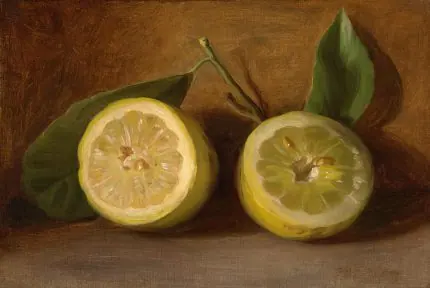 İkiye Kesilmiş Limon