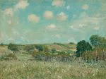 Çiçekli Çayır Sisley