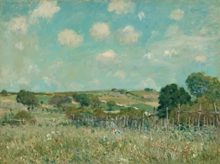 Çiçekli Çayır Sisley