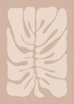 Pudra Tonda Monstera Yaprağı