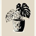 Benekli Saksıda Monstera