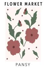 Bordo Hercai Menekşe Pazarı