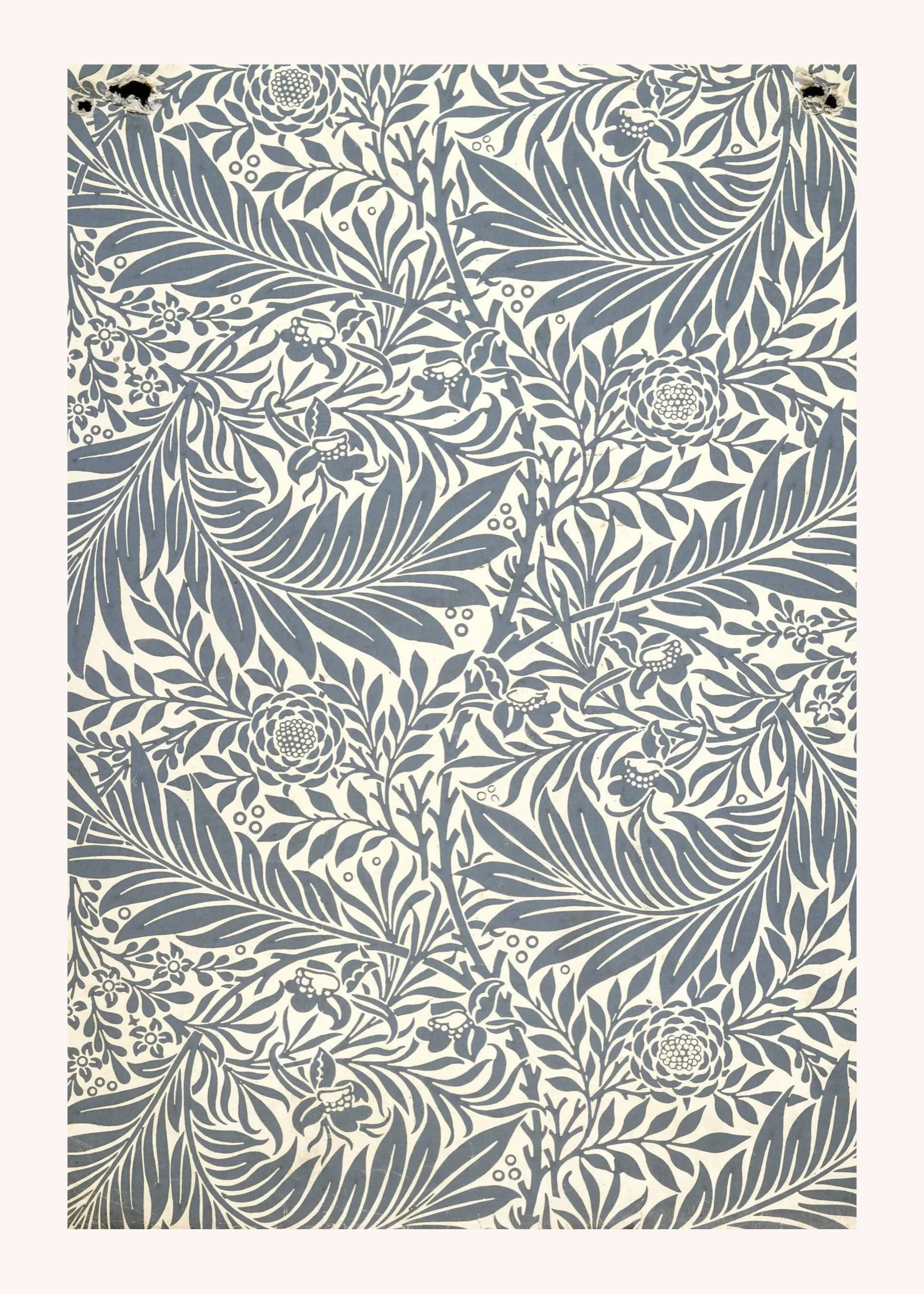 Morris Gri Yaprak Deseni Morris Gri Yaprak Deseni